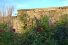 Gartenschauen