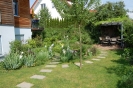 Hausgarten_15