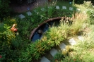 Hausgarten_16