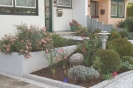 Hausgarten_19