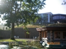 Saunagarten_26