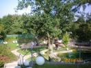 Saunagarten_2