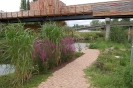 Saunagarten_9
